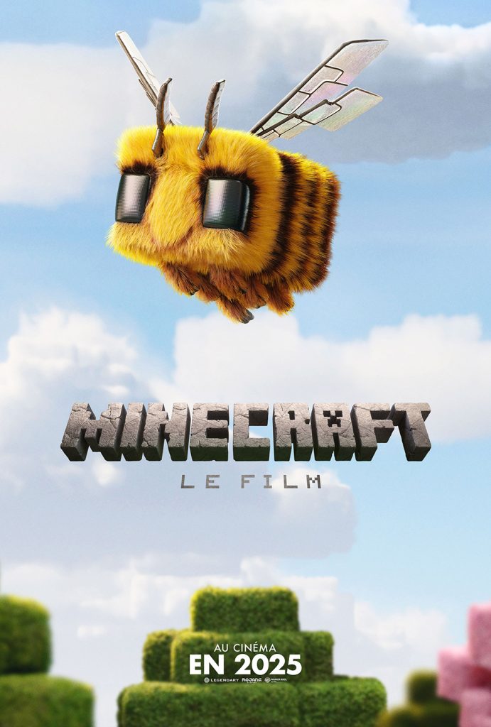 minecraft-affiche-pas-de-copyright-691x1024.jpg